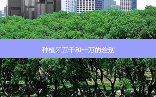 种植牙五千和一万的差别