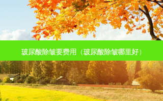 玻尿酸除皱要费用（玻尿酸除皱哪里好）