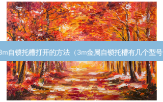 3m自锁托槽打开的 *** （3m金属自锁托槽有几个型号）