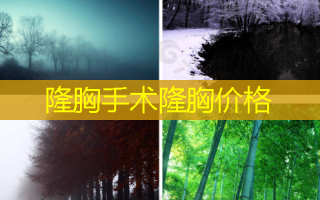 隆胸手术隆胸价格