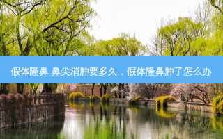 假体隆鼻 鼻尖消肿要多久，假体隆鼻肿了怎么办