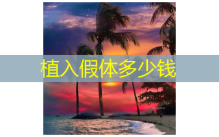 植入假体多少钱