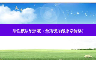 活性玻尿酸原液（金箔玻尿酸原液价格）