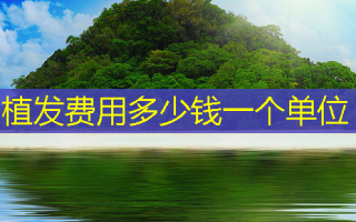 植发费用多少钱一个单位