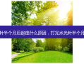 打完水光针半个月后起痘什么原因，打完水光针半个月还有印子