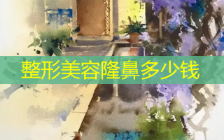 整形美容隆鼻多少钱