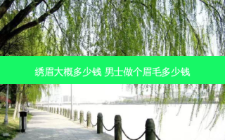 绣眉大概多少钱 男士做个眉毛多少钱