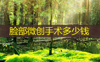 脸部微创手术多少钱