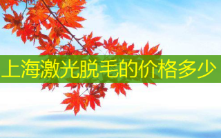 上海激光脱毛的价格多少