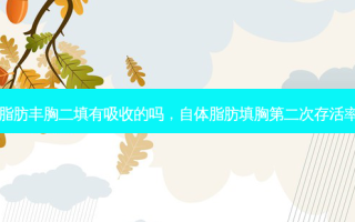 自体脂肪丰胸二填有吸收的吗，自体脂肪填胸第二次 *** 多少