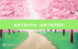 整鼻子 *** 年龄（做鼻子整形费用）