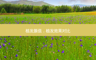 植发颜值，植发效果对比