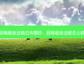 丽格植发连锁店有哪些，丽格植发连锁怎么样
