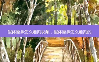 假体隆鼻怎么雕刻视频，假体隆鼻怎么雕刻的