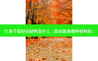 打鼻子 *** 的材料是什么（膨体隆鼻哪种材料好）