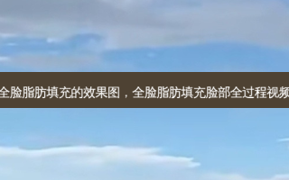 全脸脂肪填充的效果图，全脸脂肪填充脸部全过程视频