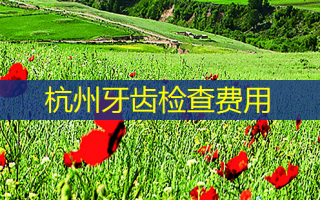 杭州牙齿检查费用