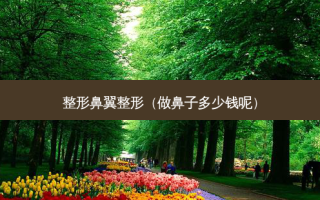 整形鼻翼整形（做鼻子多少钱呢）