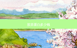 胶原蛋白多少钱