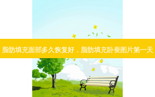 脂肪填充面部多久恢复好，脂肪填充卧蚕图片之一天