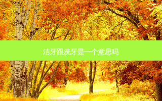洁牙跟洗牙是一个意思吗