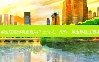 上海茸城医院整形科正规吗？王海龙、孔玲、戴玉琳医生技术不错！