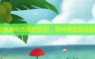 金鱼眼和杏眼的区别，各种眼型的区别