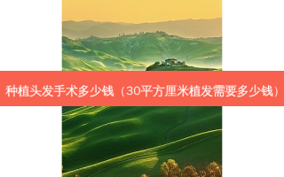 种植头发手术多少钱（30平方厘米植发需要多少钱）