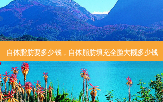 自体脂肪要多少钱，自体脂肪填充全脸大概多少钱