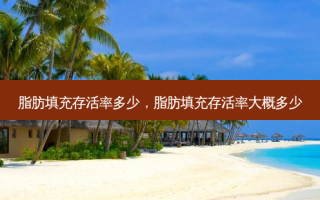 脂肪填充 *** 多少，脂肪填充 *** 大概多少
