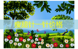 瘦腿针一针价格