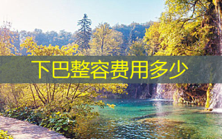 下巴整容费用多少