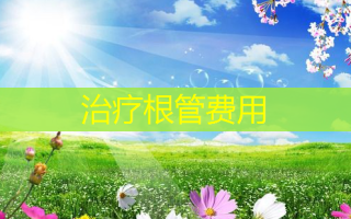 治疗根管费用