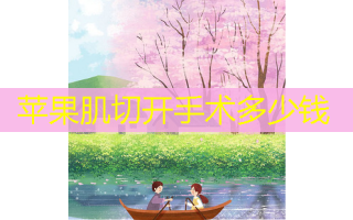 苹果肌切开手术多少钱