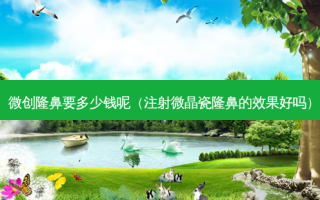 微创隆鼻要多少钱呢（注射微晶瓷隆鼻的效果好吗）