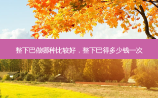 整下巴做哪种比较好，整下巴得多少钱一次