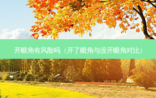 开眼角有风险吗（开了眼角与没开眼角对比）