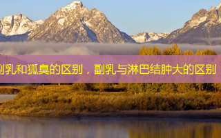 副乳和狐臭的区别，副乳与淋巴结肿大的区别