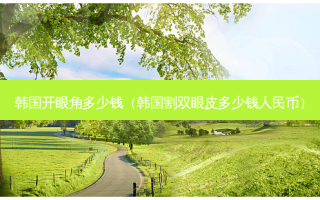 韩国开眼角多少钱（韩国割双眼皮多少钱人民币）