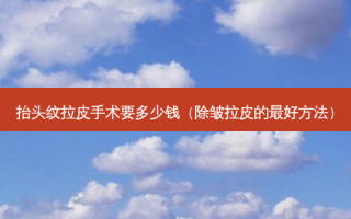 抬头纹拉皮手术要多少钱（除皱拉皮的 ***  *** ）