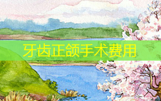 牙齿正颌手术费用