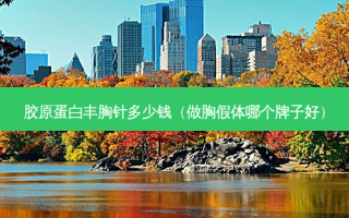 胶原蛋白丰胸针多少钱（做胸假体哪个牌子好）