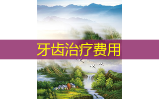 牙齿治疗费用