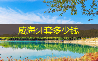 威海牙套多少钱