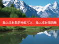 脸上注射脂肪针眼可大，脸上注射脂肪酶