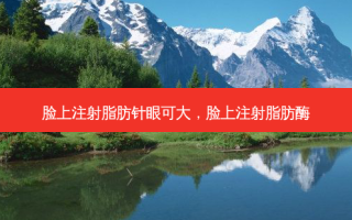 脸上注射脂肪针眼可大，脸上注射脂肪酶