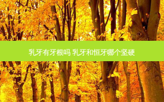 乳牙有牙根吗 乳牙和恒牙哪个坚硬