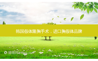 韩国假体隆胸手术，进口胸假体品牌
