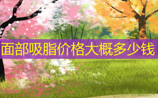 面部吸脂价格大概多少钱
