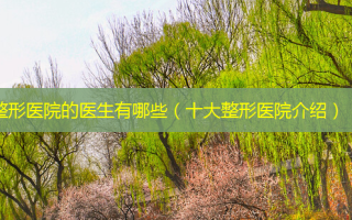 整形医院的医生有哪些（十大整形医院介绍）